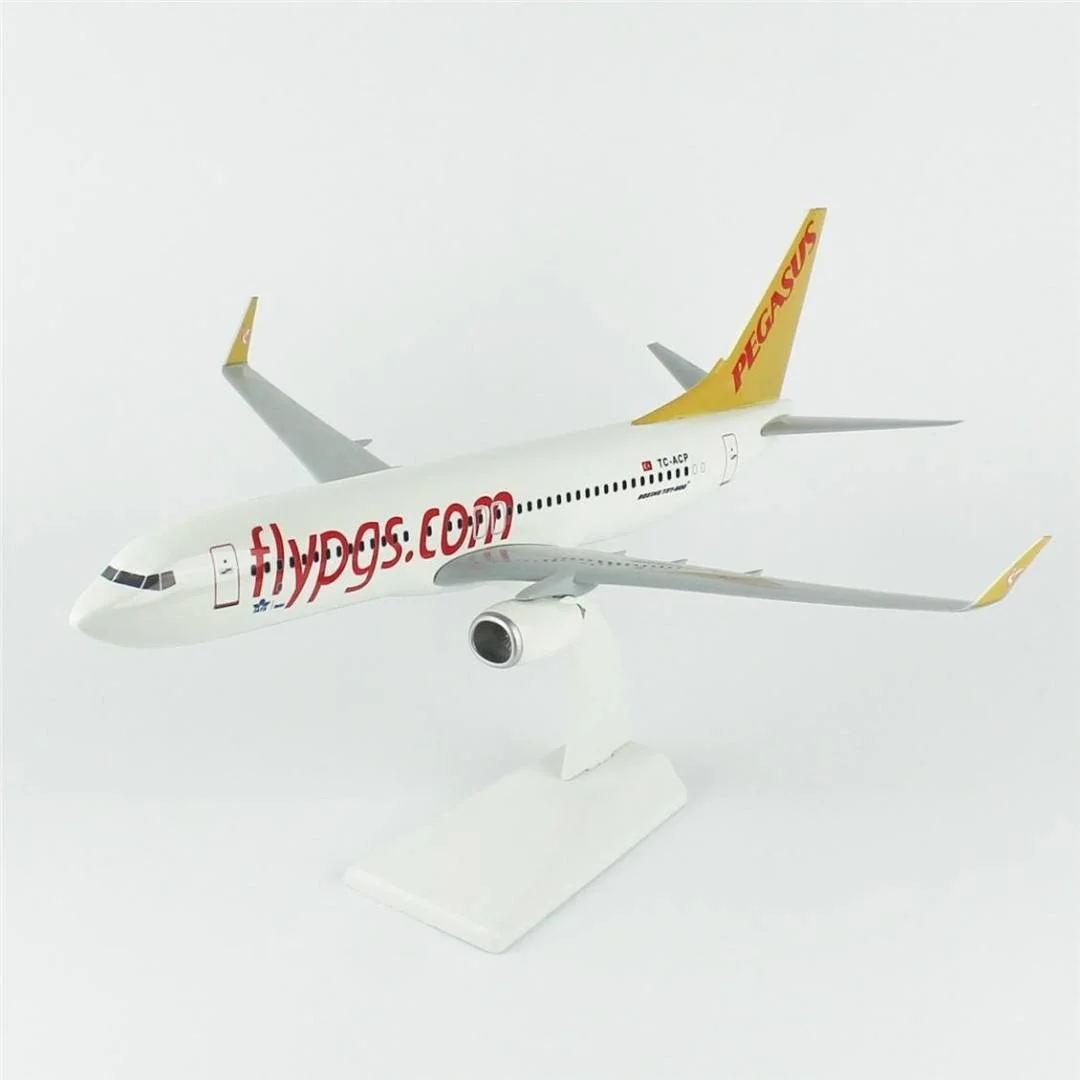 1/100 Ölçek, Pegasus 737-800 Yolcu Uçağı, Sergilemeye Hazır Plastik Standlı Model