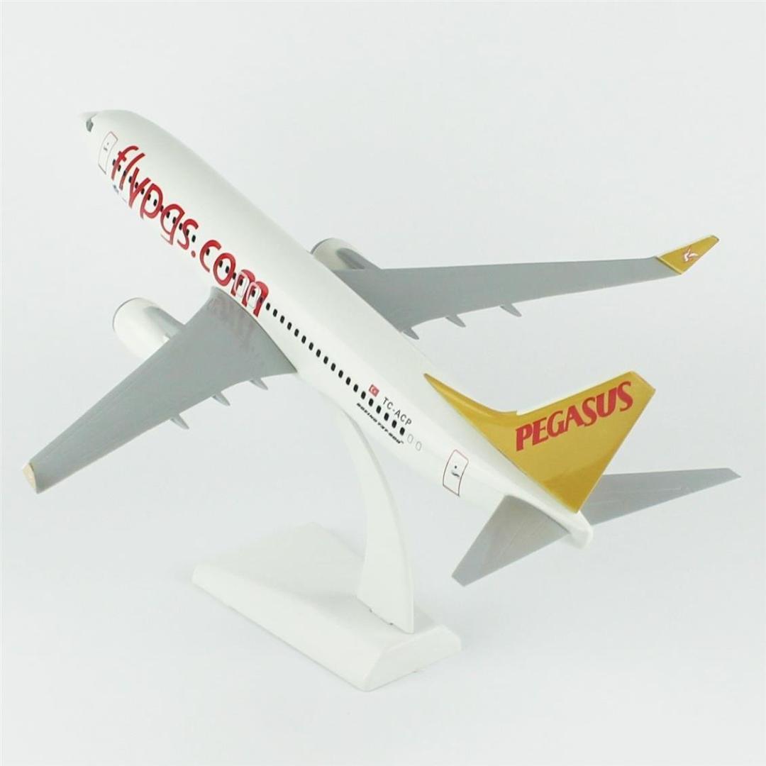 1/100 Ölçek, Pegasus 737-800 Yolcu Uçağı, Sergilemeye Hazır Plastik Standlı Model