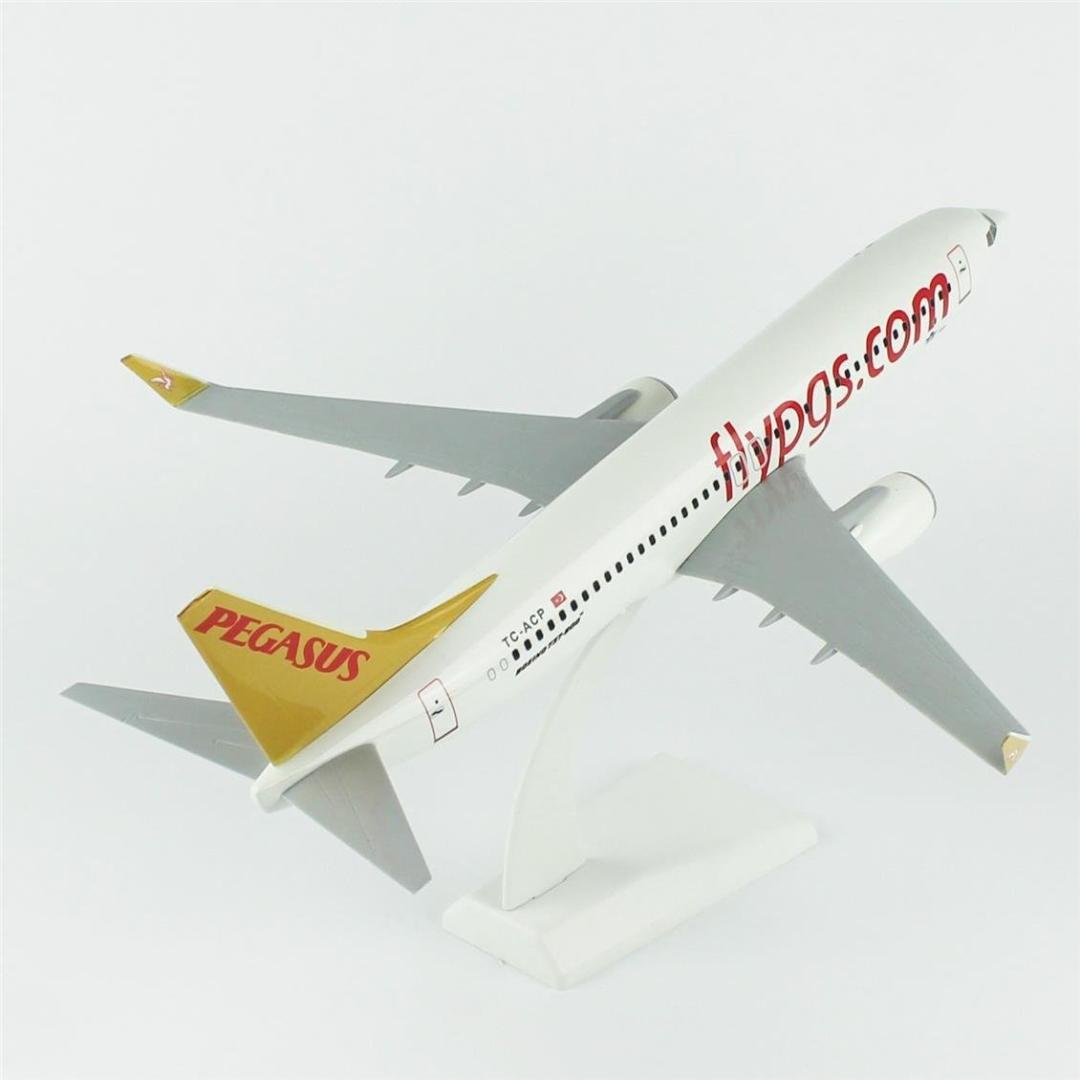 1/100 Ölçek, Pegasus 737-800 Yolcu Uçağı, Sergilemeye Hazır Plastik Standlı Model