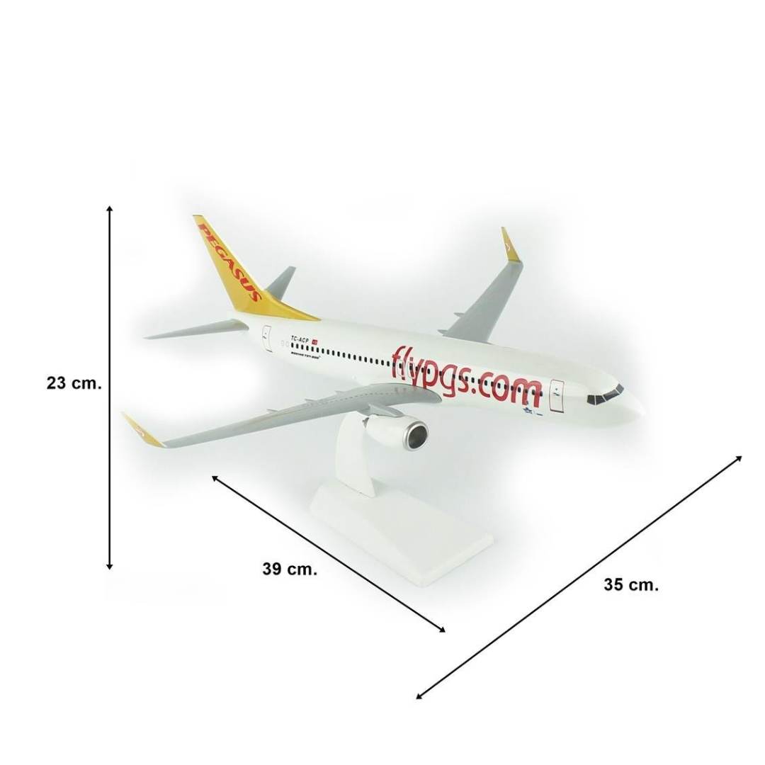 1/100 Ölçek, Pegasus 737-800 Yolcu Uçağı, Sergilemeye Hazır Plastik Standlı Model