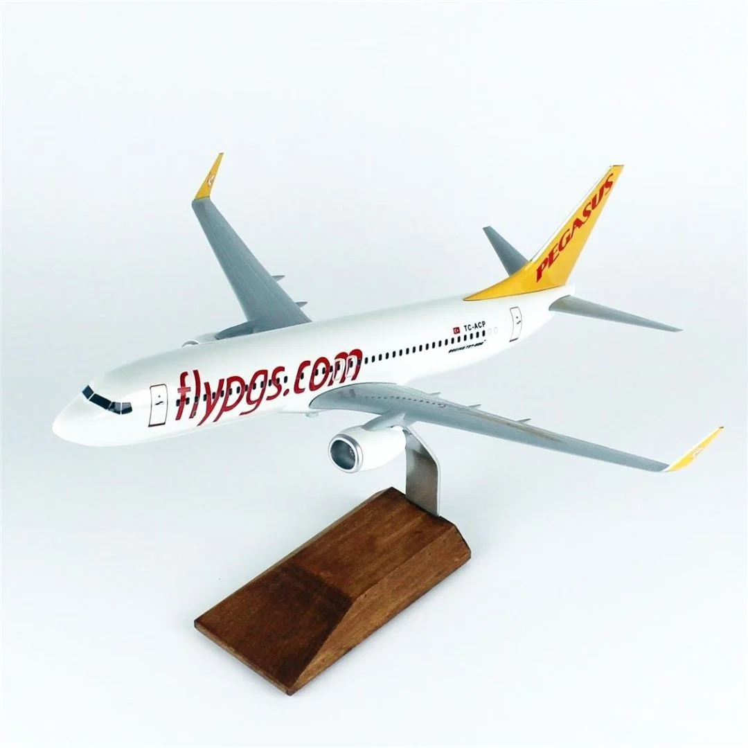 1/100 Ölçek, Pegasus B737-800 Yolcu Uçağı, Sergilemeye Hazır Ahşap Standlı Model