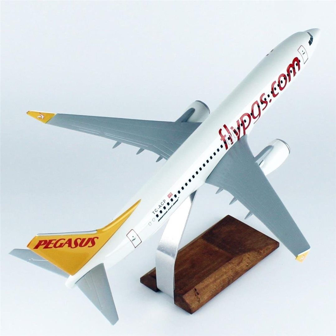 1/100 Ölçek, Pegasus B737-800 Yolcu Uçağı, Sergilemeye Hazır Ahşap Standlı Model