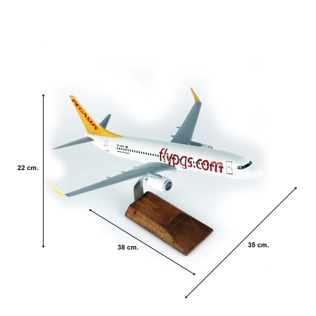 1/100 Ölçek, Pegasus B737-800 Yolcu Uçağı, Sergilemeye Hazır Ahşap Standlı Model