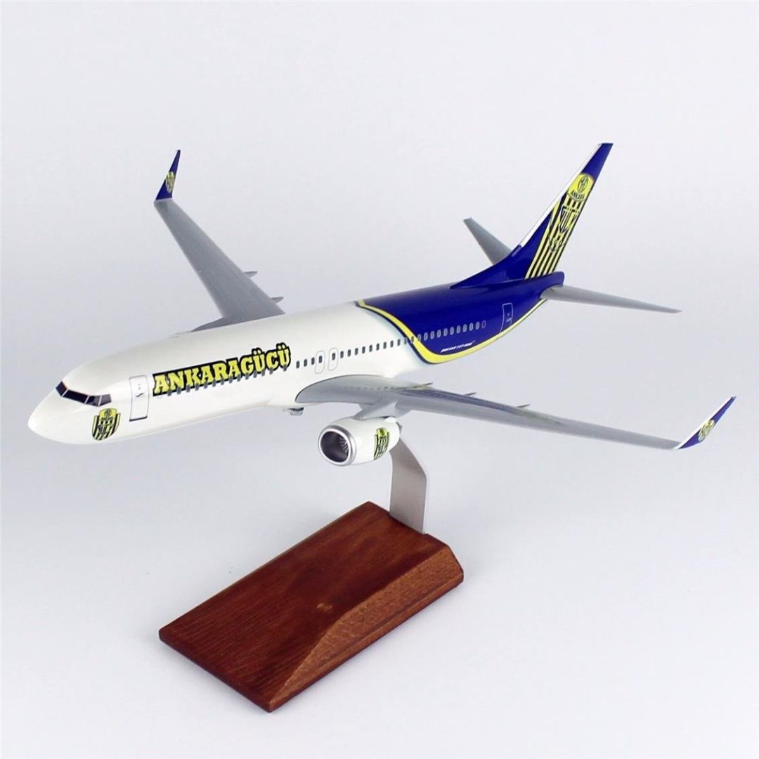 1/100 Ölçek, THY Ankara Gücü Logolu B737-800 Yolcu Uçağı, Sergilemeye Hazır Ahşap Standlı Model