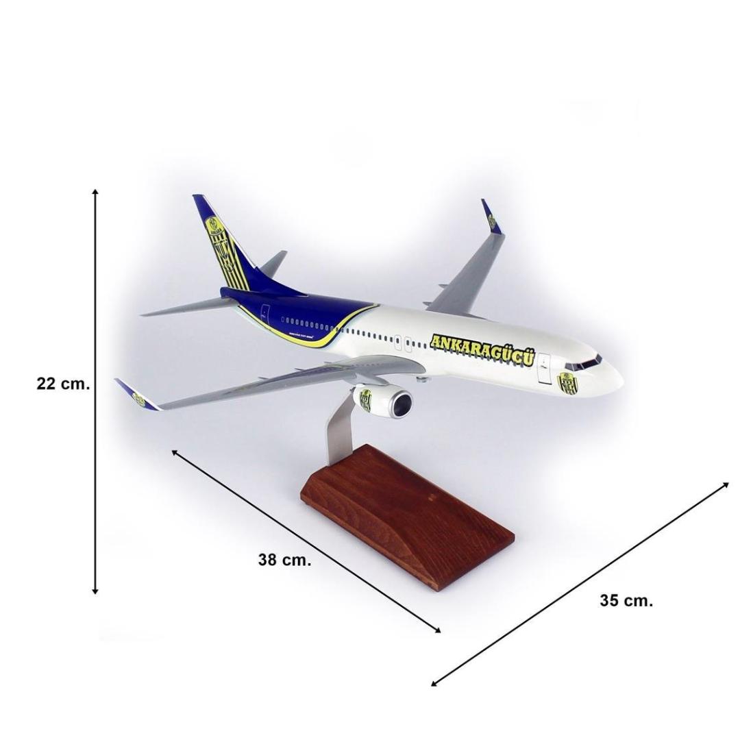 1/100 Ölçek, THY Ankara Gücü Logolu B737-800 Yolcu Uçağı, Sergilemeye Hazır Ahşap Standlı Model