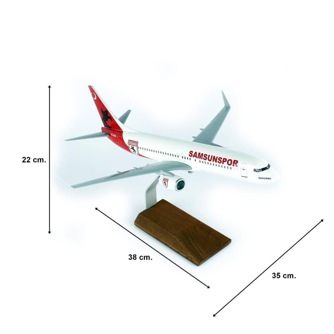 1/100 Ölçek, THY Samsun Spor Logolu B737-800 Yolcu Uçağı, Sergilemeye Hazır Ahşap Standlı Model
